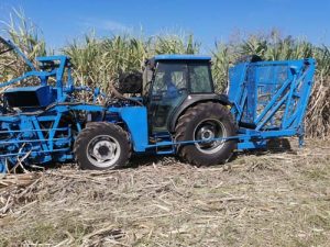 sugarcane harvester Model F17