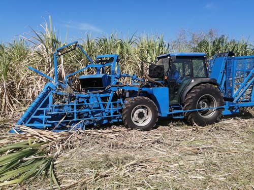 #Sugarcane harvester india